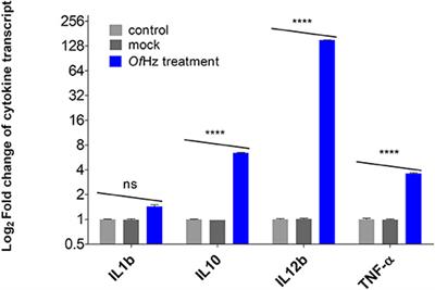 Hemozoin From the Liver Fluke, Opisthorchis felineus, Modulates Dendritic Cell Responses in Bronchial Asthma Patients